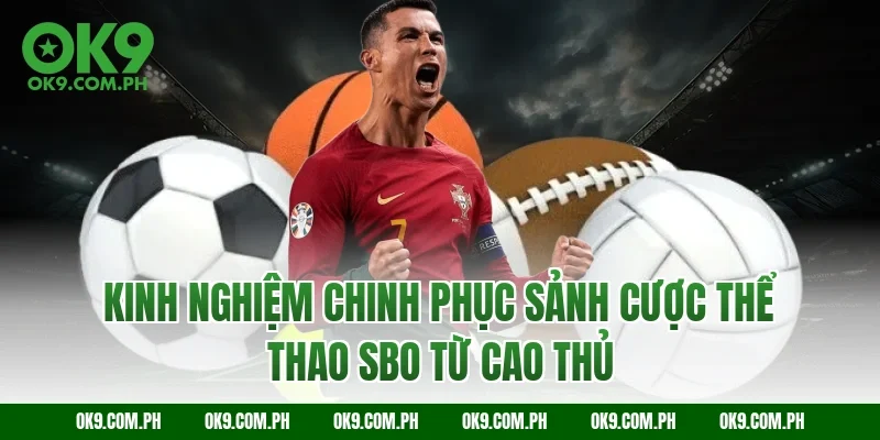 Kinh nghiệm chinh phục sảnh cược thể thao SBO từ cao thủ
